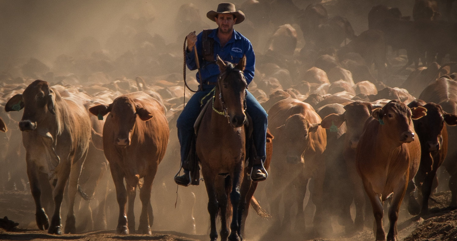 Fossil Downs Station Hancock Agriculture
