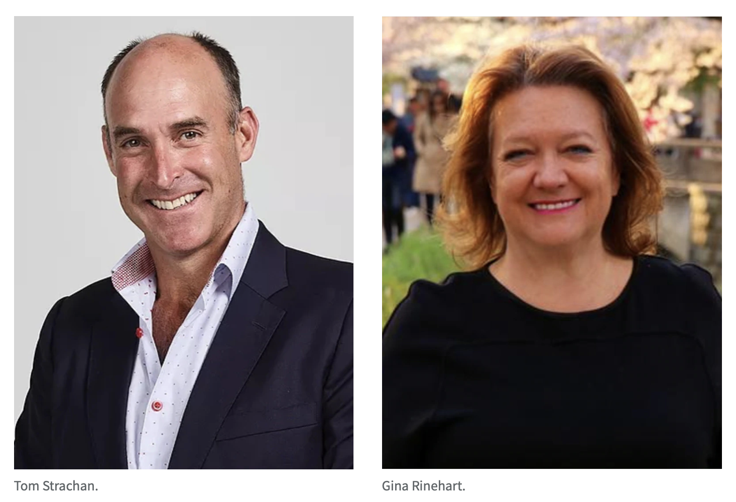 Hancock Agriculture buys two Packhorse Pastoral properties for about